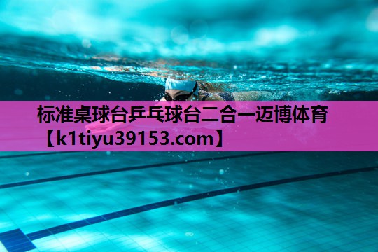 标准桌球台乒乓球台二合一迈博体育