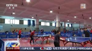 2026世界杯登录 新乒乓球台应注意什么